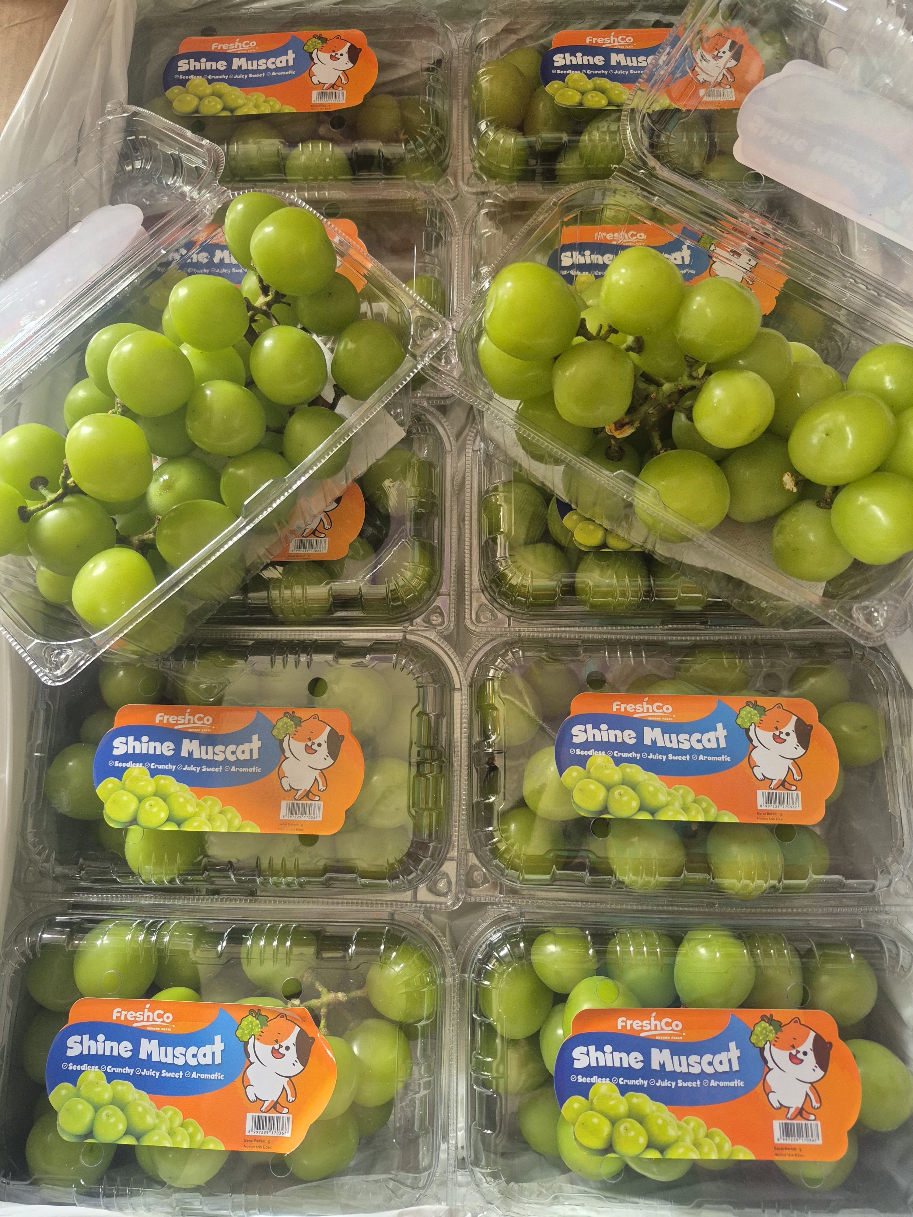IMG-PRODUCT